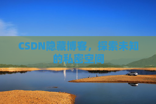 CSDN隐藏博客，探索未知的私密空间